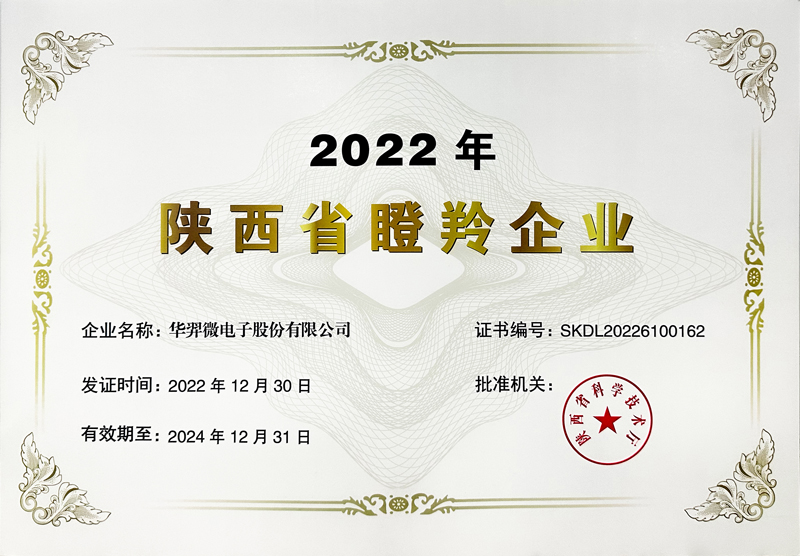 Shaanxi Gazelle Enterprise in 2022